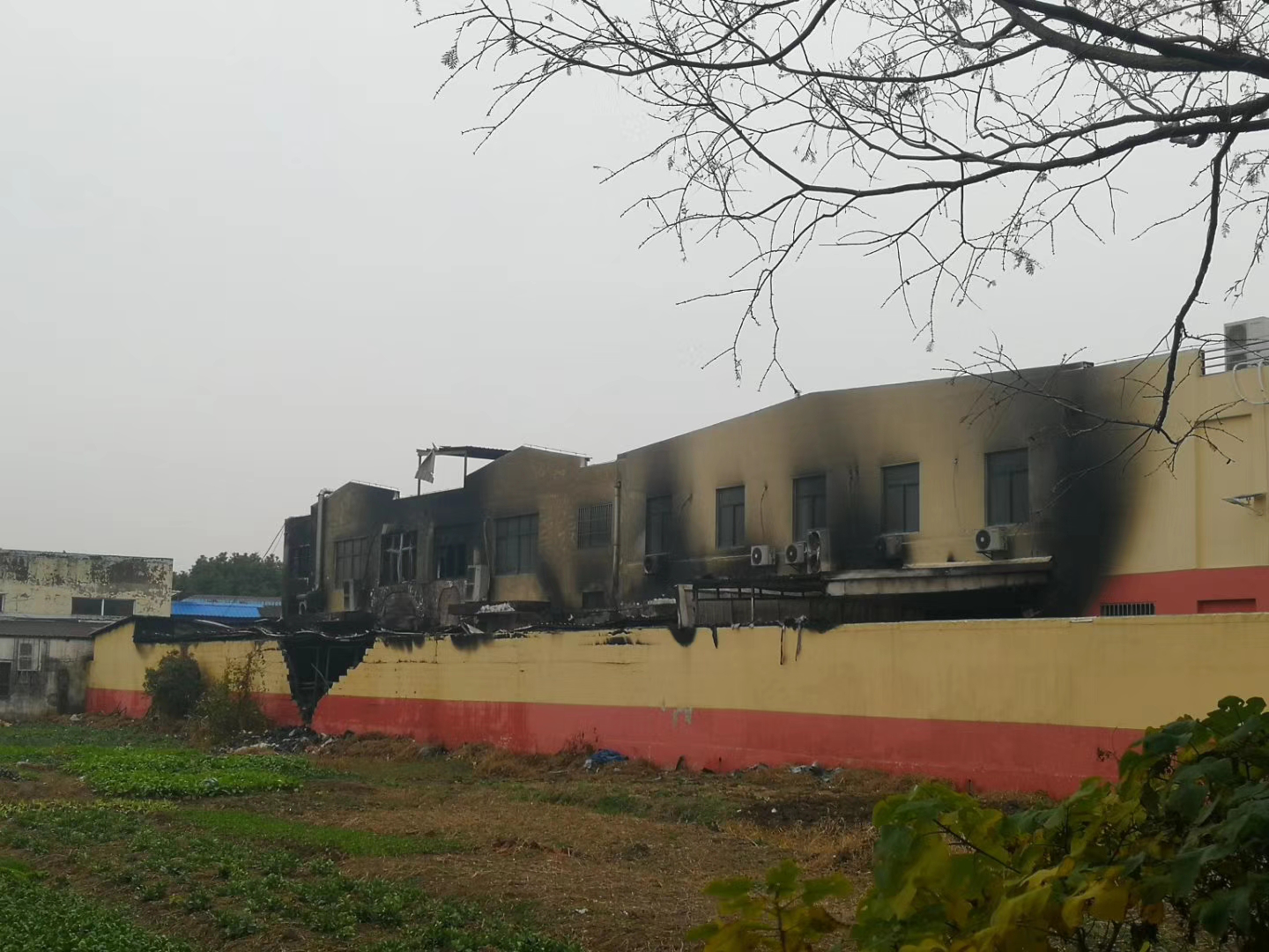 圖片7.png 圖片7.png